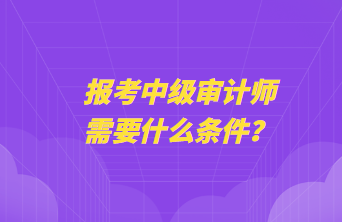 報(bào)考中級(jí)審計(jì)師需要什么條件？