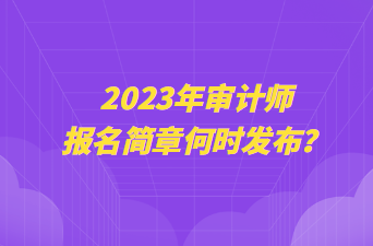 2023年審計師報名簡章何時發(fā)布？