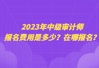 2023年中級(jí)審計(jì)師報(bào)名費(fèi)用是多少？在哪報(bào)名？