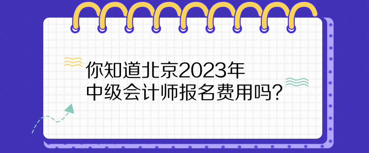 你知道北京2023年中級會計(jì)師報(bào)名費(fèi)用嗎？