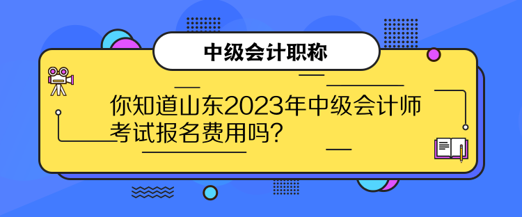 你知道山東2023年中級(jí)會(huì)計(jì)師考試報(bào)名費(fèi)用嗎？