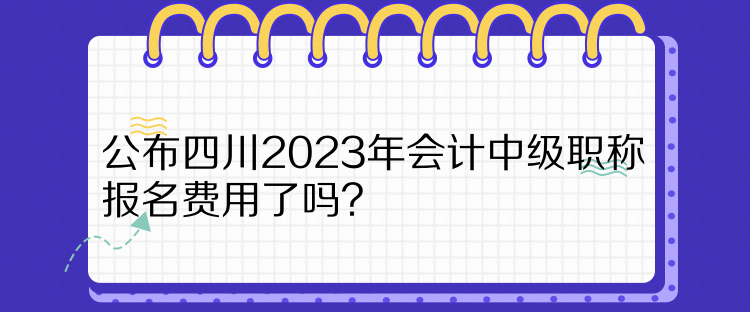 公布四川2023年會計(jì)中級職稱報(bào)名費(fèi)用了嗎？