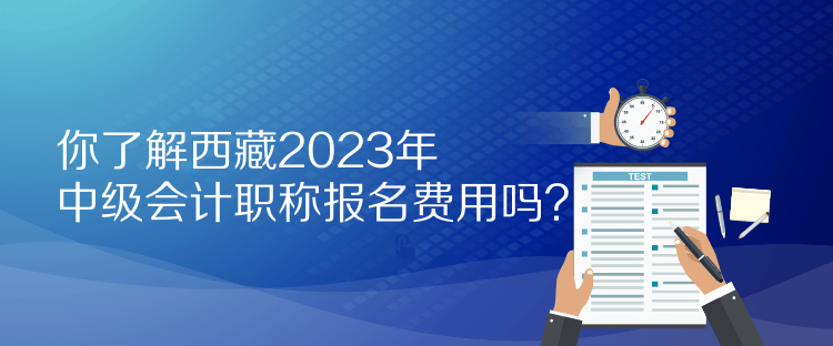 你了解西藏2023年中級會計職稱報名費(fèi)用嗎？