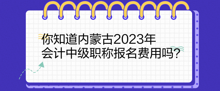 你知道內(nèi)蒙古2023年會(huì)計(jì)中級(jí)職稱報(bào)名費(fèi)用嗎？