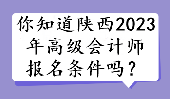 你知道陜西2023年高級會(huì)計(jì)師報(bào)名條件嗎？
