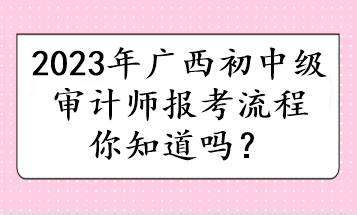 2023年廣西初中級審計(jì)師報(bào)考流程你知道嗎？