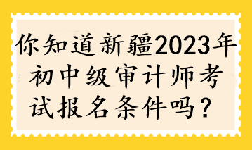 你知道新疆2023年初中級審計師考試報名條件嗎？