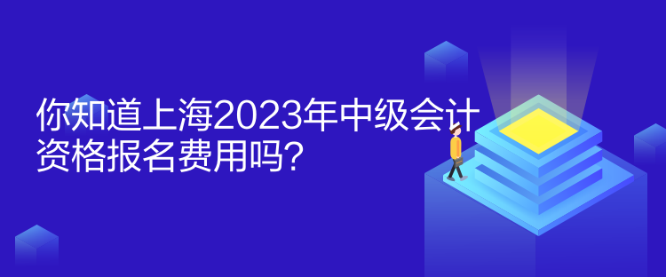 你知道上海2023年中級(jí)會(huì)計(jì)資格報(bào)名費(fèi)用嗎？