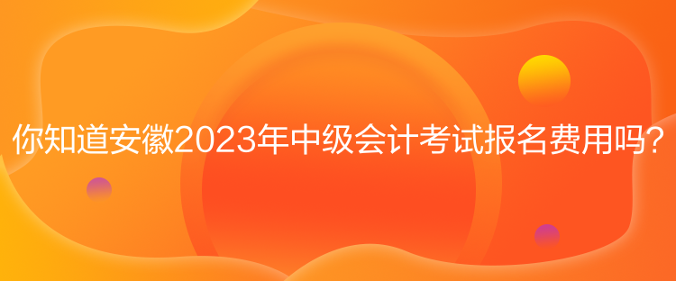 你知道安徽2023年中級會(huì)計(jì)考試報(bào)名費(fèi)用嗎？