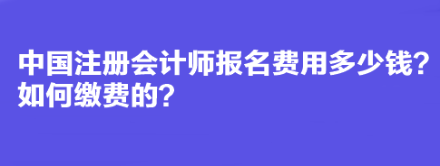 中國注冊會計師報名費用多少錢？如何繳費的？