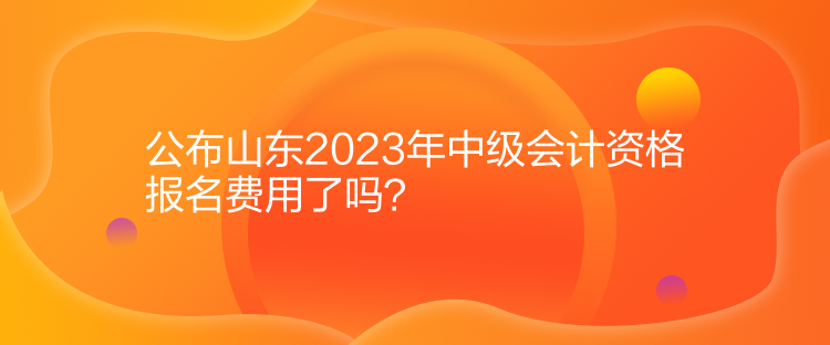 公布山東2023年中級會計資格報名費用了嗎？