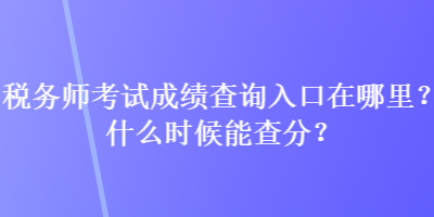 稅務(wù)師考試成績查詢?nèi)肟谠谀睦?？什么時候能查分？