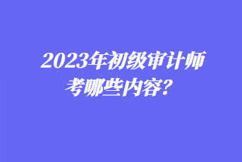 2023年初級(jí)審計(jì)師考哪些內(nèi)容？