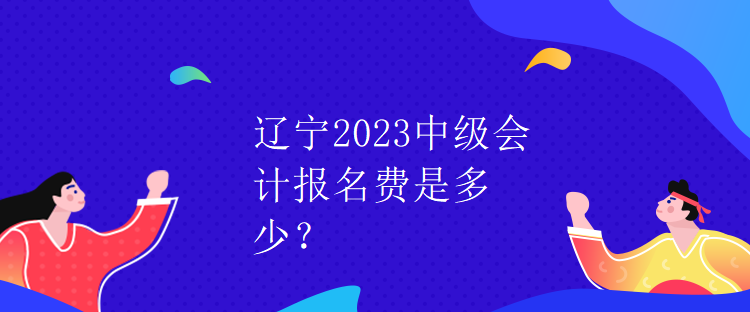 遼寧2023中級(jí)會(huì)計(jì)報(bào)名費(fèi)是多少？