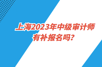 上海2023年中級審計(jì)師有補(bǔ)報(bào)名嗎？