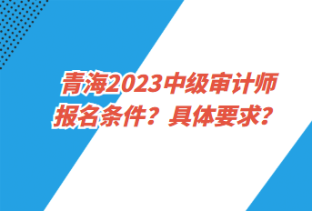 青海2023中級(jí)審計(jì)師報(bào)名條件？具體要求？