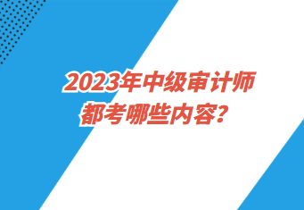 2023年中級審計(jì)師都考哪些內(nèi)容？