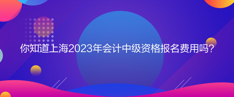 你知道上海2023年會計中級資格報名費用嗎？