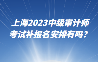 上海2023中級審計師考試補(bǔ)報名安排有嗎？