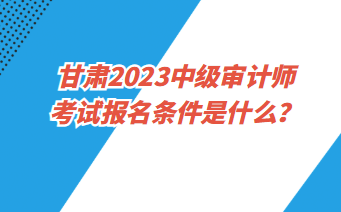 甘肅2023中級審計師考試報名條件是什么？