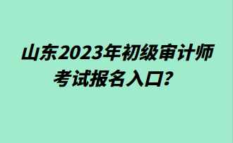 山東2023年初級審計師考試報名入口？