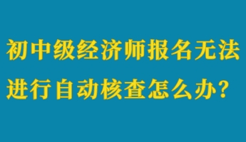 初中級(jí)經(jīng)濟(jì)師報(bào)名無法進(jìn)行自動(dòng)核查怎么辦？
