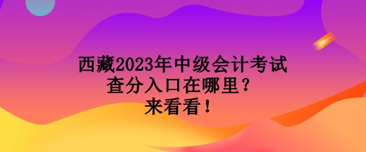 西藏2023年中級會計考試查分入口在哪里？來看看！
