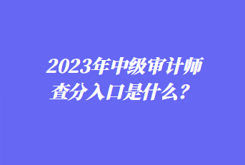 2023年中級(jí)審計(jì)師查分入口是什么？