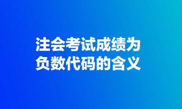 注會(huì)考試成績?yōu)樨?fù)數(shù)代碼的含義