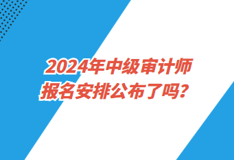 2024年中級(jí)審計(jì)師報(bào)名安排公布了嗎？