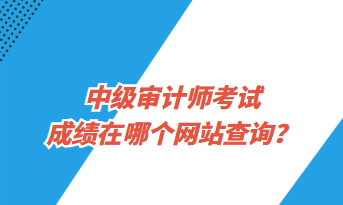 中級(jí)審計(jì)師考試成績(jī)?cè)谀膫€(gè)網(wǎng)站查詢？