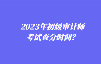2023年初級審計師考試查分時間？