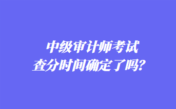 中級審計師考試查分時間確定了嗎？