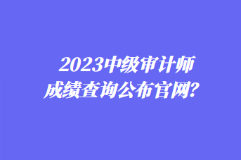 2023中級審計師成績查詢公布官網(wǎng)？
