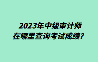 2023年中級(jí)審計(jì)師在哪里查詢考試成績(jī)？
