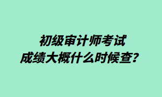 初級審計師考試成績大概什么時候查？