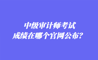 中級審計師考試成績在哪個官網(wǎng)公布？