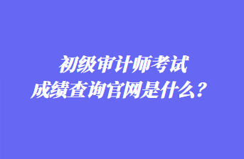 初級(jí)審計(jì)師考試成績(jī)查詢官網(wǎng)是什么？