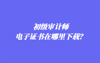 初級審計師電子證書在哪里下載？