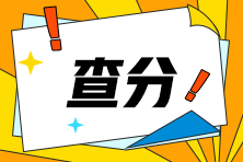 怎么查注冊(cè)會(huì)計(jì)師成績(jī)
