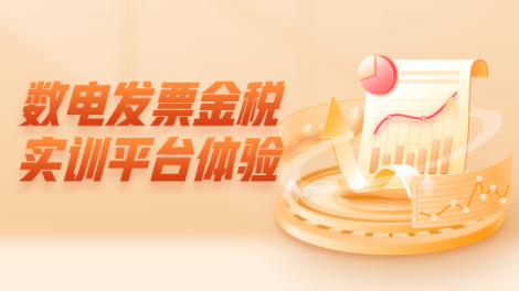 數(shù)電發(fā)票金稅實(shí)訓(xùn)平臺