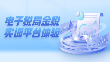 電子稅局金稅實(shí)訓(xùn)平臺