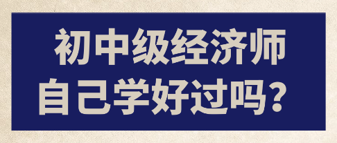 初中級經(jīng)濟(jì)師自己學(xué)好過嗎？
