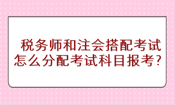 稅務師和注會搭配考試怎么分配考試科目進行報考？