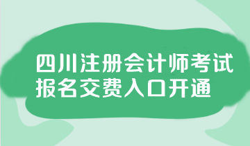 四川2024注會交費入口已開通！快來交費~