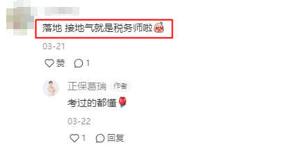 落地、接地氣的當屬稅務(wù)師