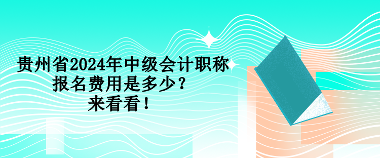 貴州省2024年中級會計職稱報名費用是多少？來看看！