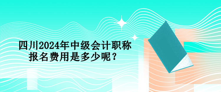 四川2024年中級會計職稱報名費用是多少呢？