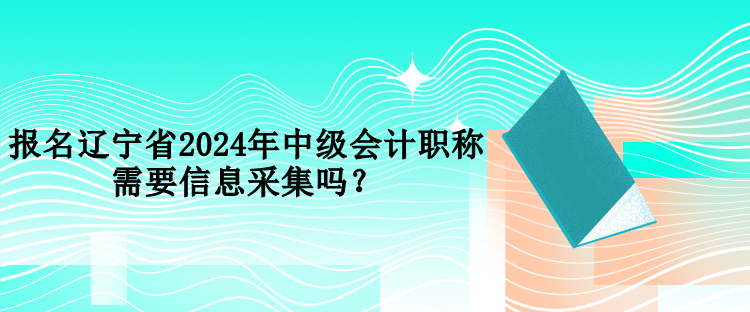 報(bào)名遼寧省2024年中級(jí)會(huì)計(jì)職稱需要信息采集嗎？