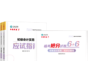 初級(jí)會(huì)計(jì)夢(mèng)想成真輔導(dǎo)書